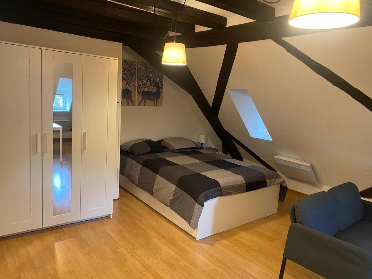 Cozy Hideaway By Cathedral * Strasbourg